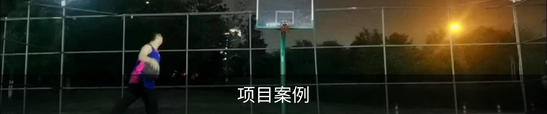 项目案例