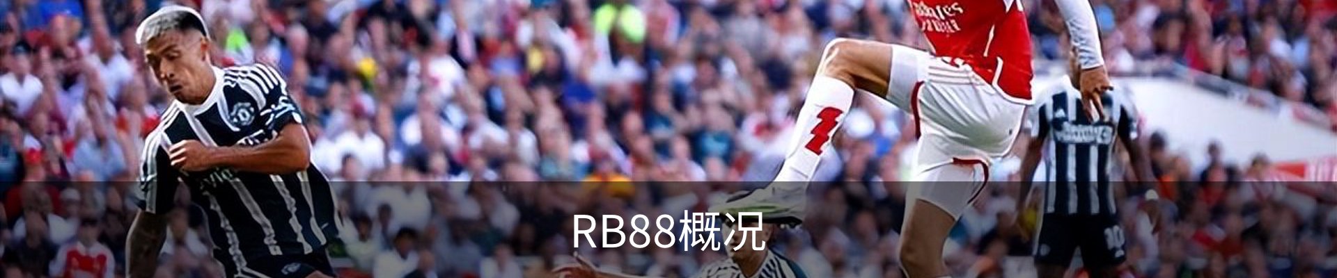 RB88概况